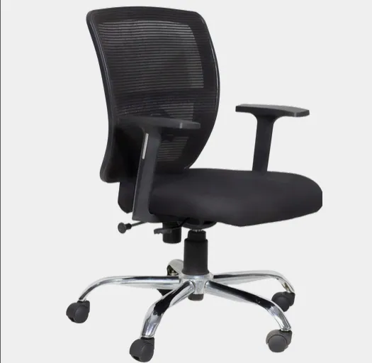 Dipti Enterprise chair