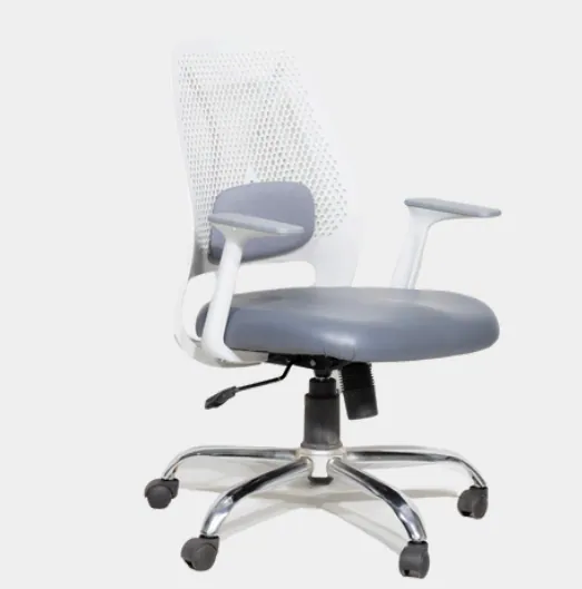 Dipti Enterprise chair