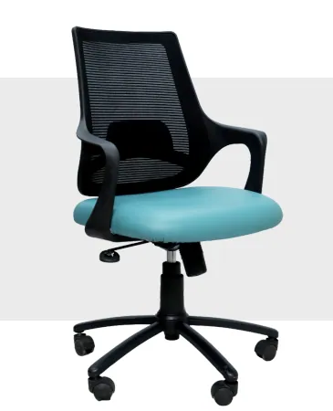 Dipti Enterprise chair