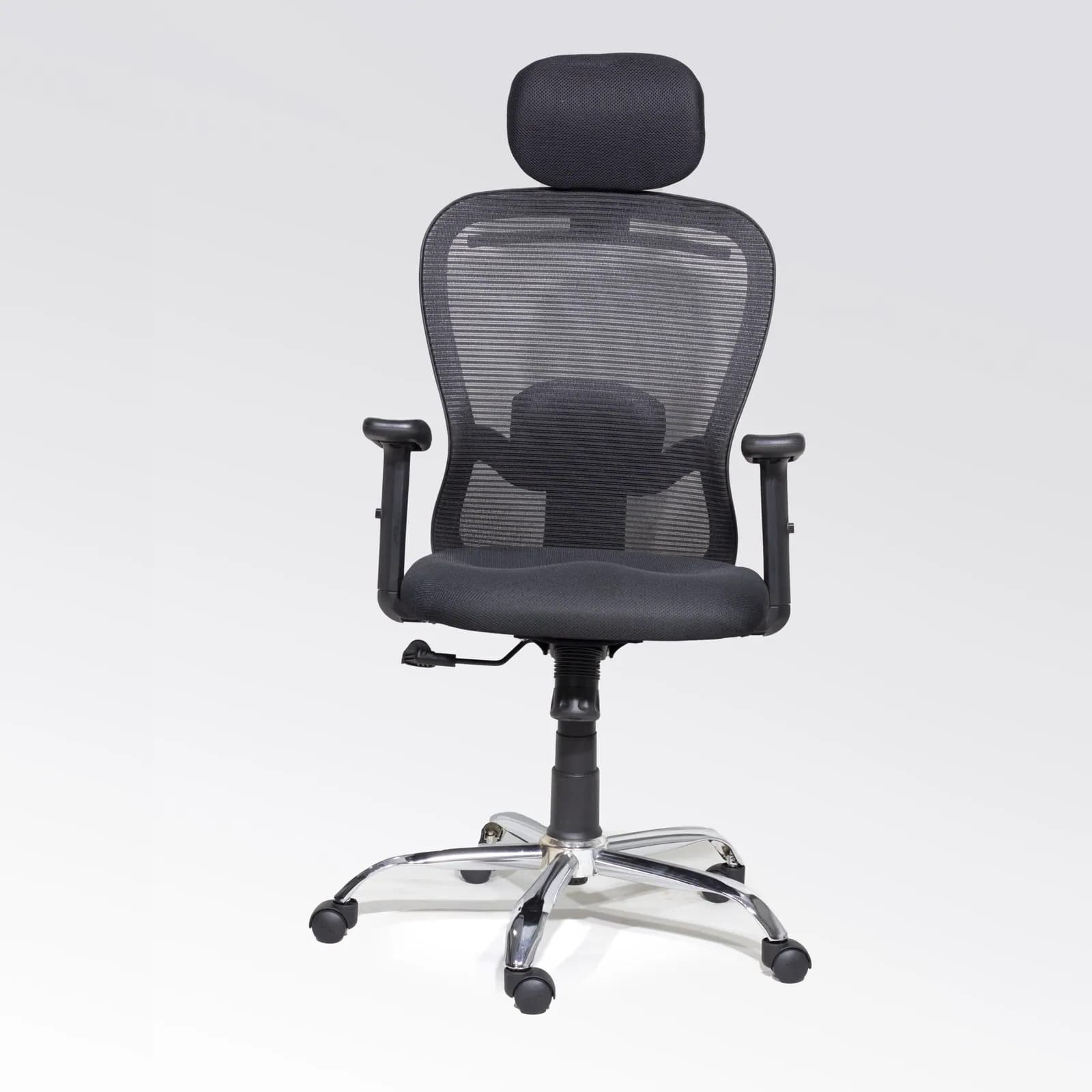 ErgoMax Pro Executive Office Chair