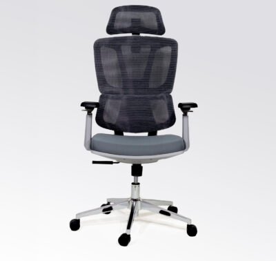 ErgoElite 2D Executive Mesh Chair