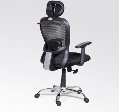 ErgoMax Pro Executive Office Chair